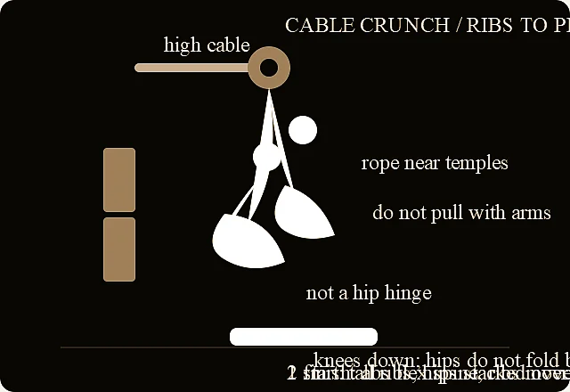 Cable crunch verified exercise line-art diagram.