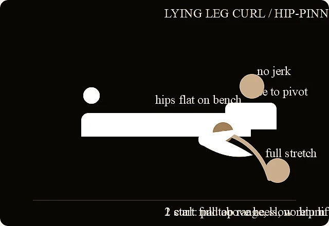 Lying leg curl verified exercise line-art diagram.