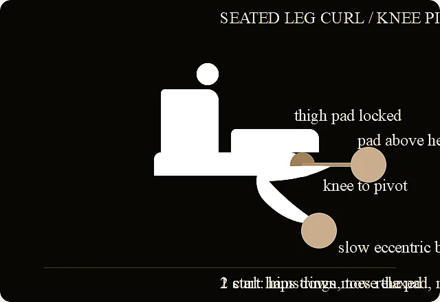Seated leg curl verified exercise line-art diagram.