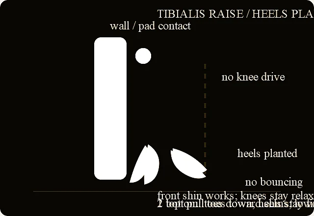 Tibialis Raises verified exercise line-art diagram.
